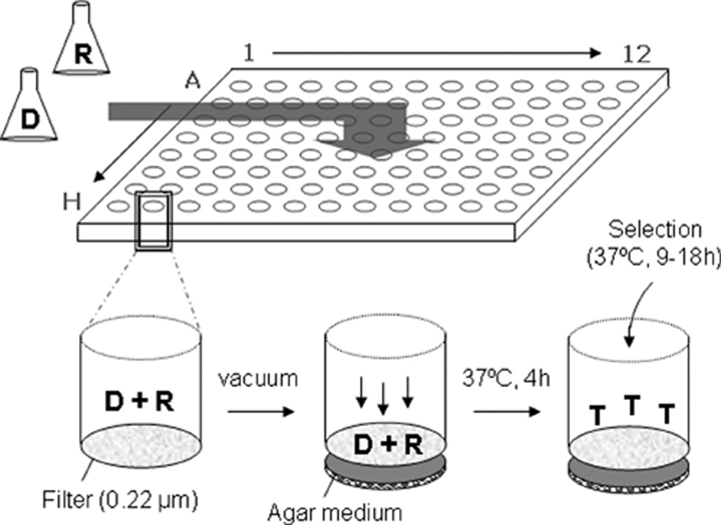 FIG. 7