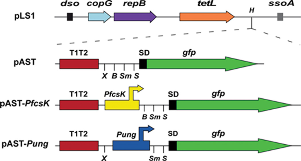 FIG. 6