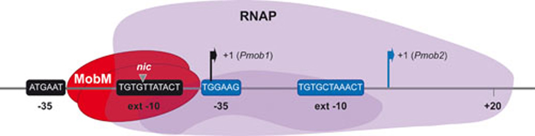 FIG. 3