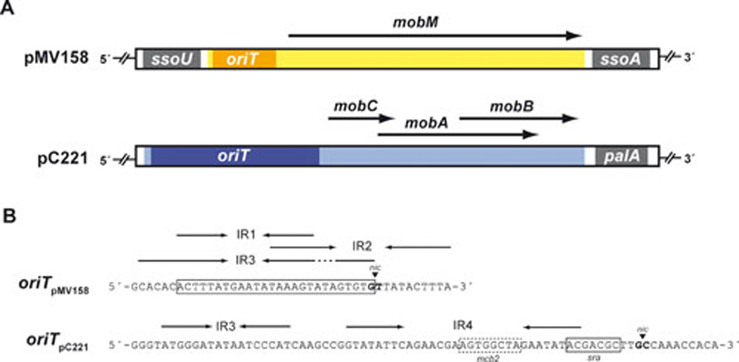 FIG. 1