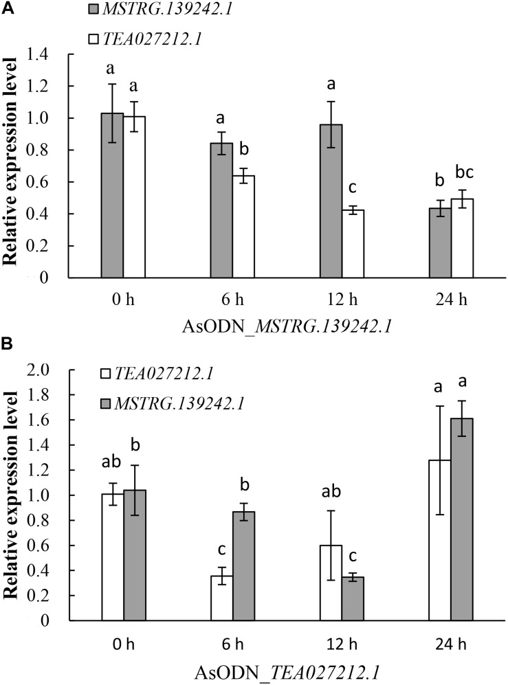 FIGURE 7