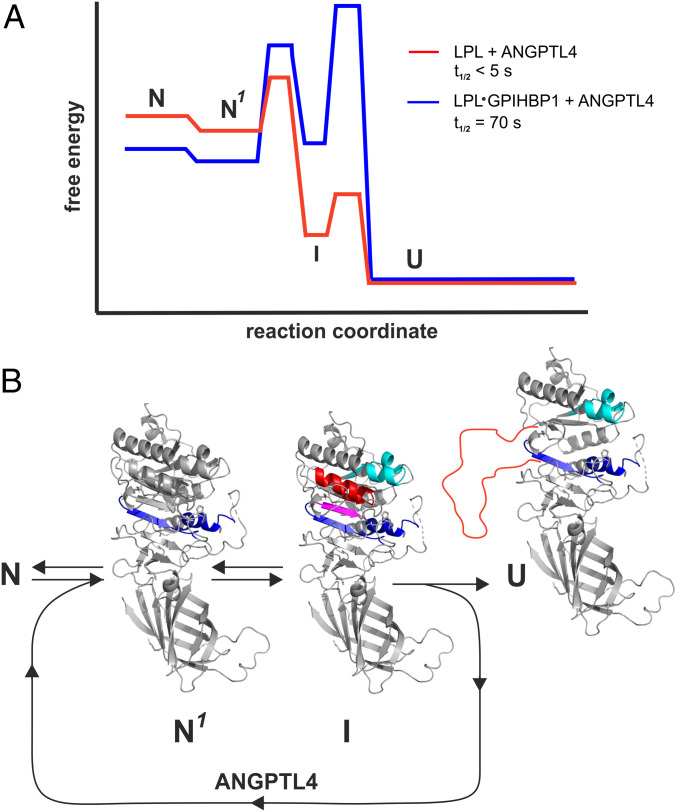 Fig. 8.