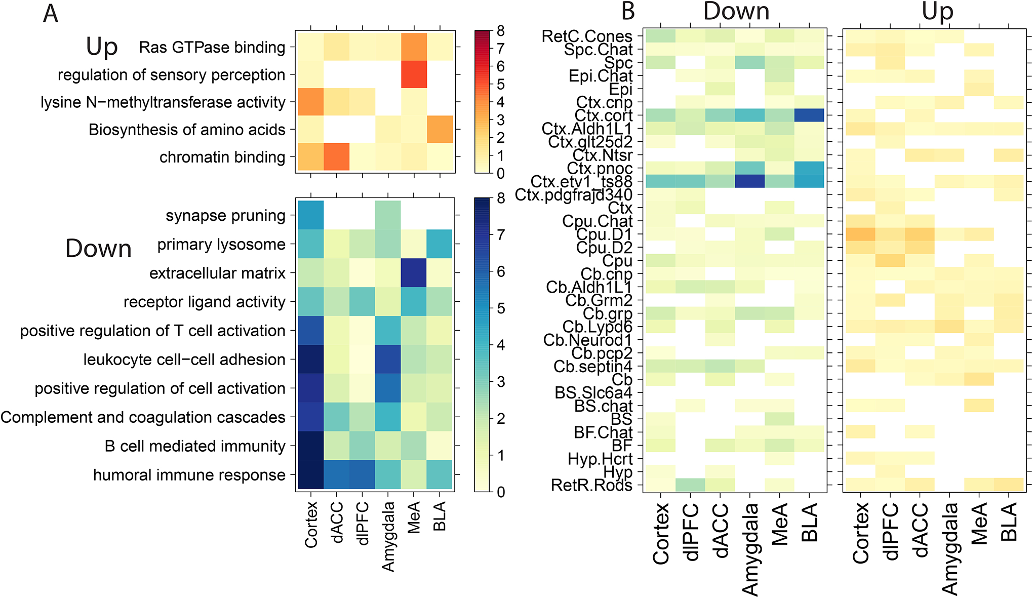 Figure 2: