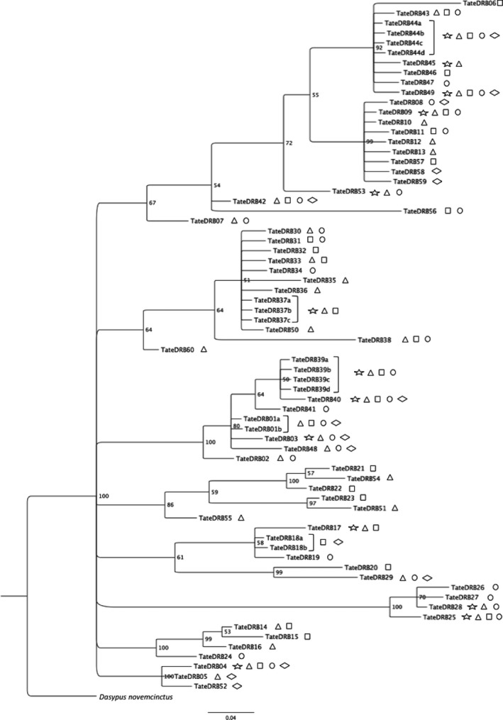 Figure 7