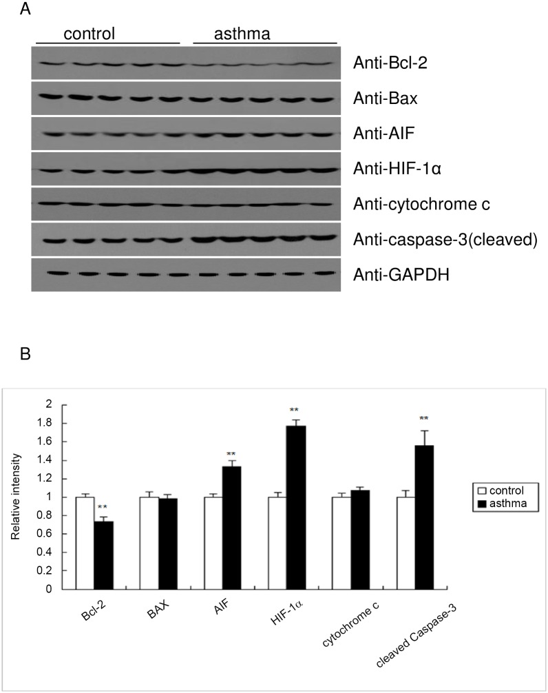 Fig 8