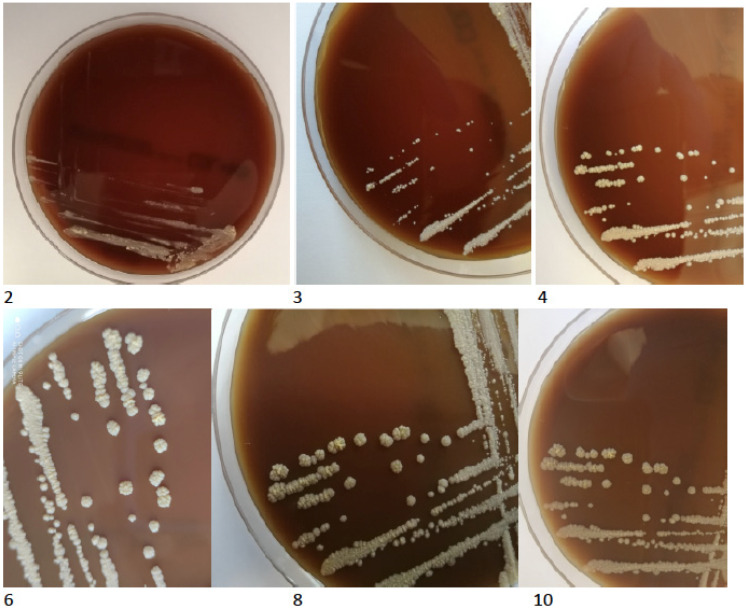 Figure 4