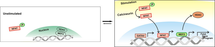 Fig. 2