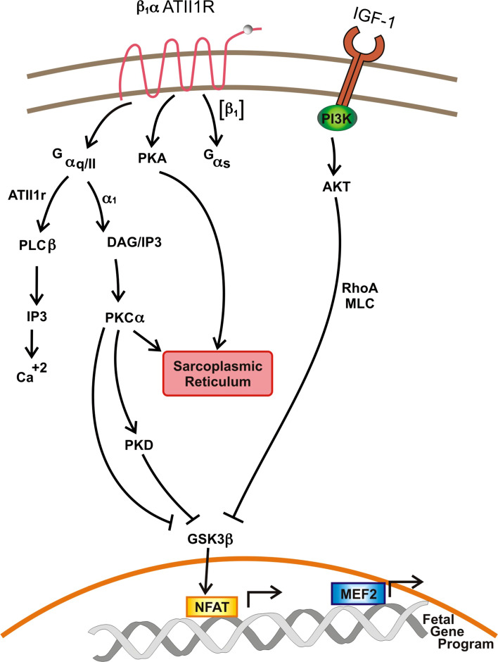 Fig. 1