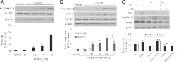 Figure 6