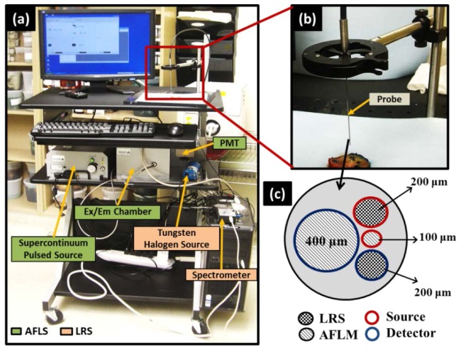 Fig. 1