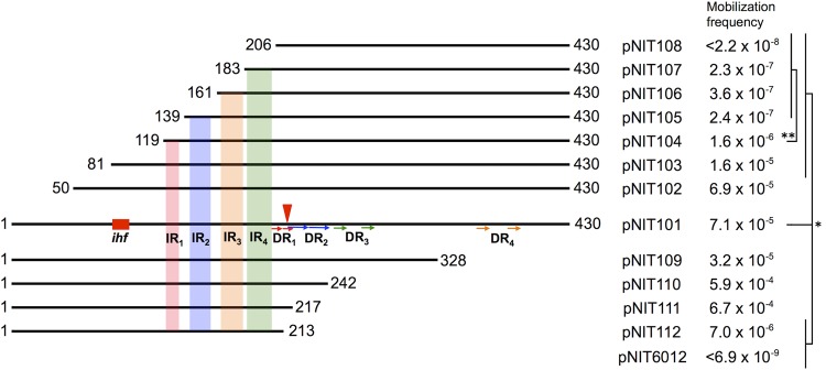 FIG 4