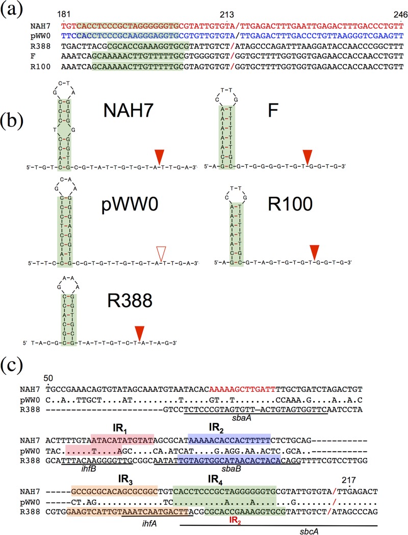 FIG 3