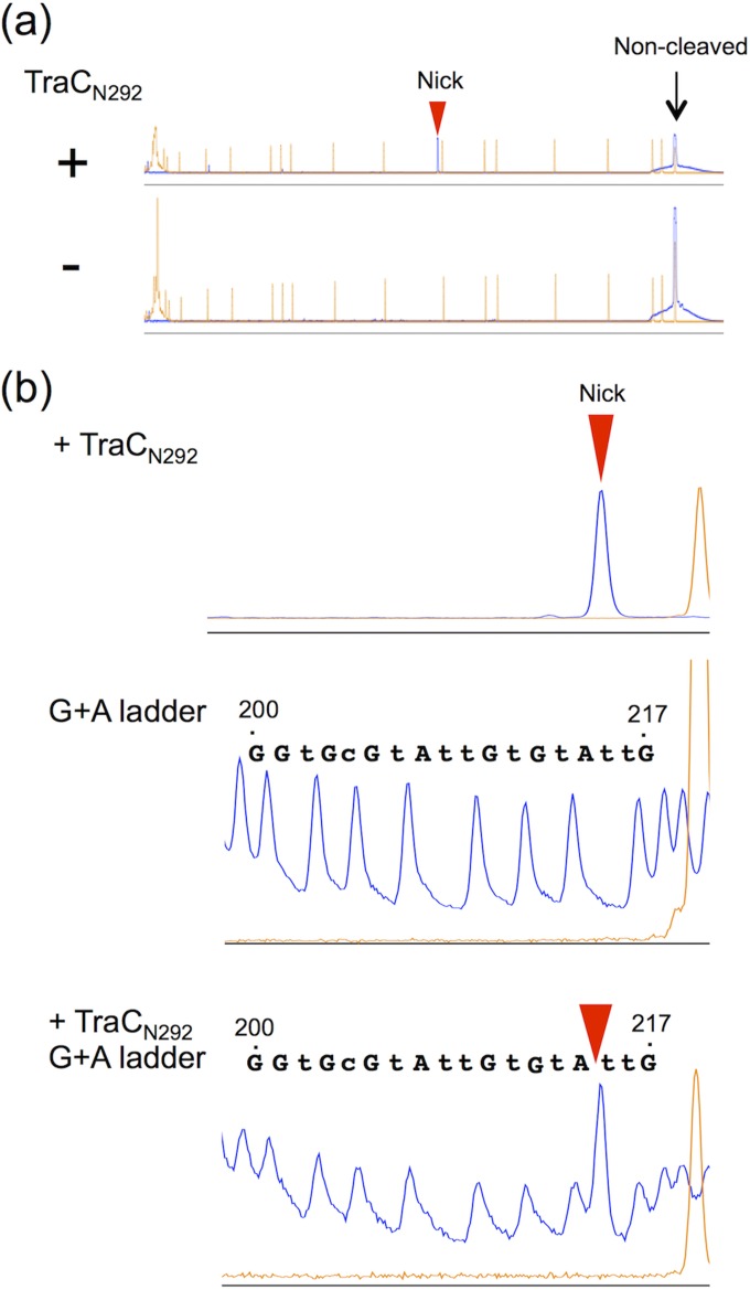 FIG 2