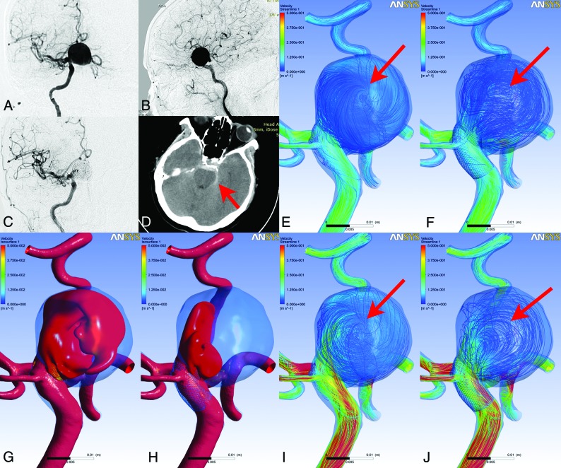 Fig 1.