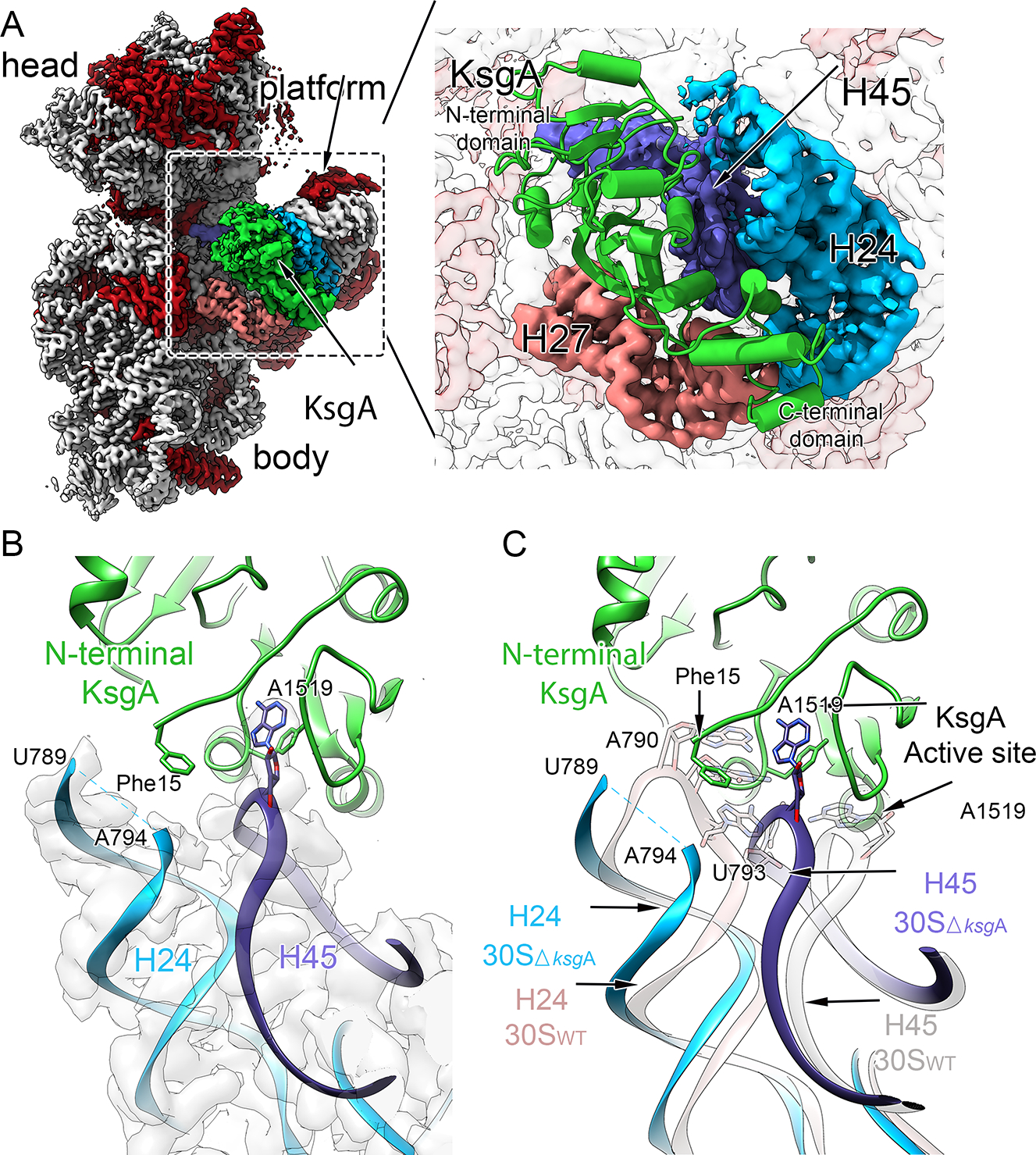 Figure 4.