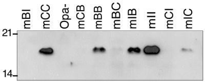 FIG. 5.