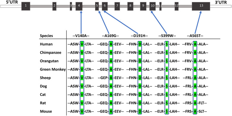 Fig. 7.