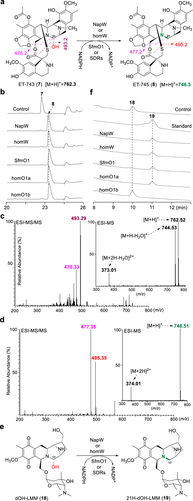 Fig. 6