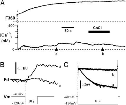 Fig. 2.