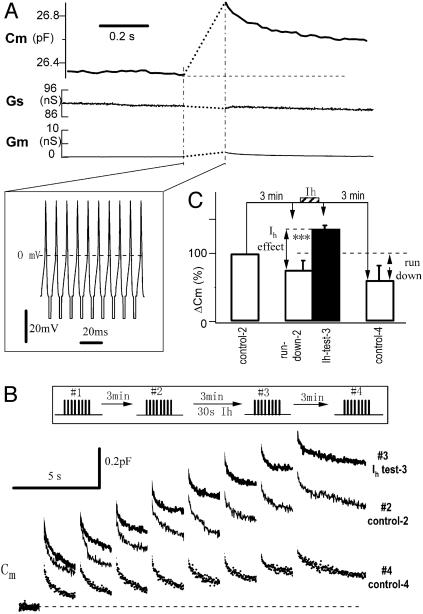 Fig. 5.