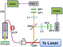 Fig. 3