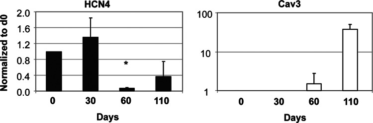 FIG. 5.