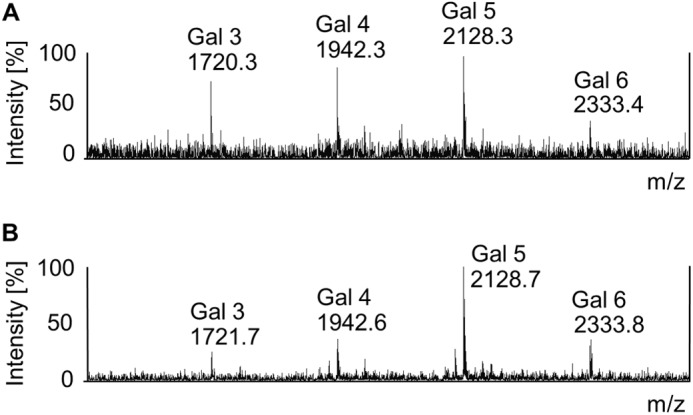 FIGURE 4.