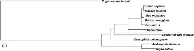 FIGURE 10.