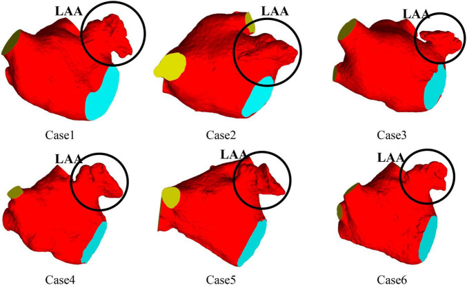 FIGURE 1