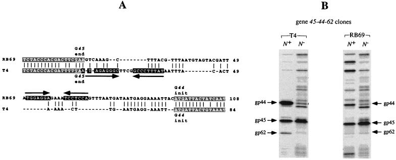 FIG. 4