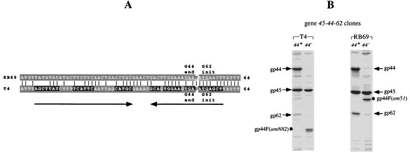 FIG. 5