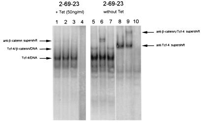 FIG. 7