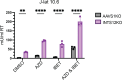 Figure 2—figure supplement 1.