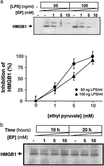 Fig 5.