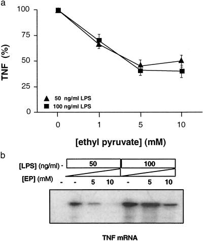 Fig 3.