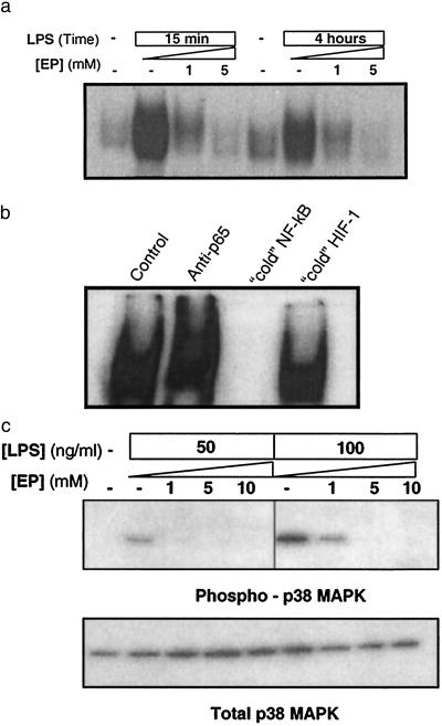 Fig 4.