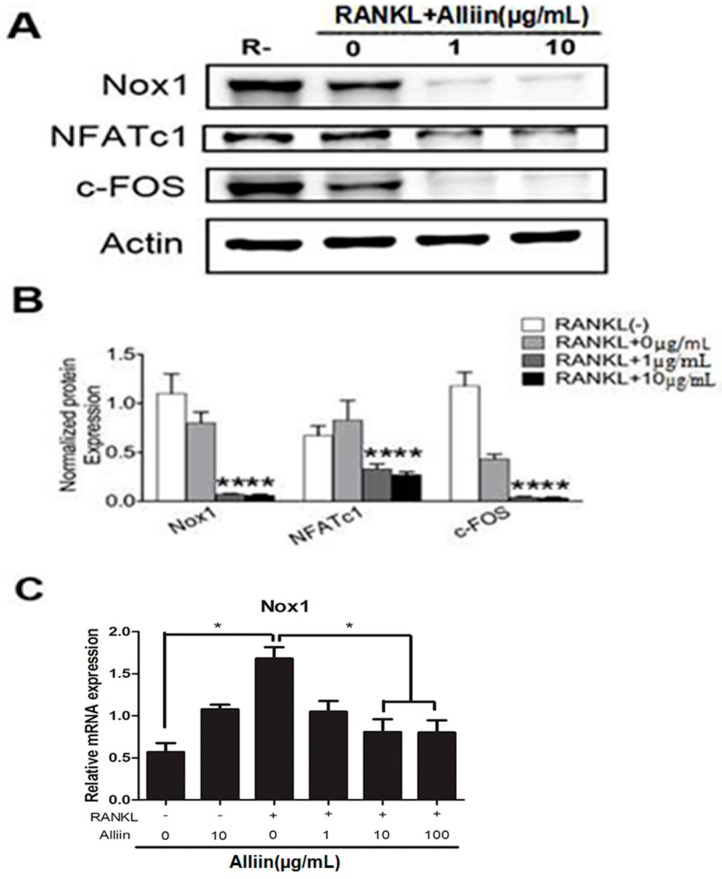 Figure 6