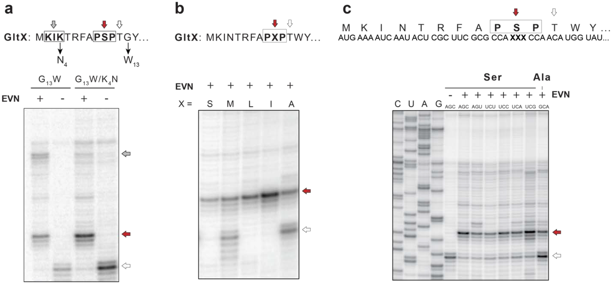 Extended Data Fig. 6: