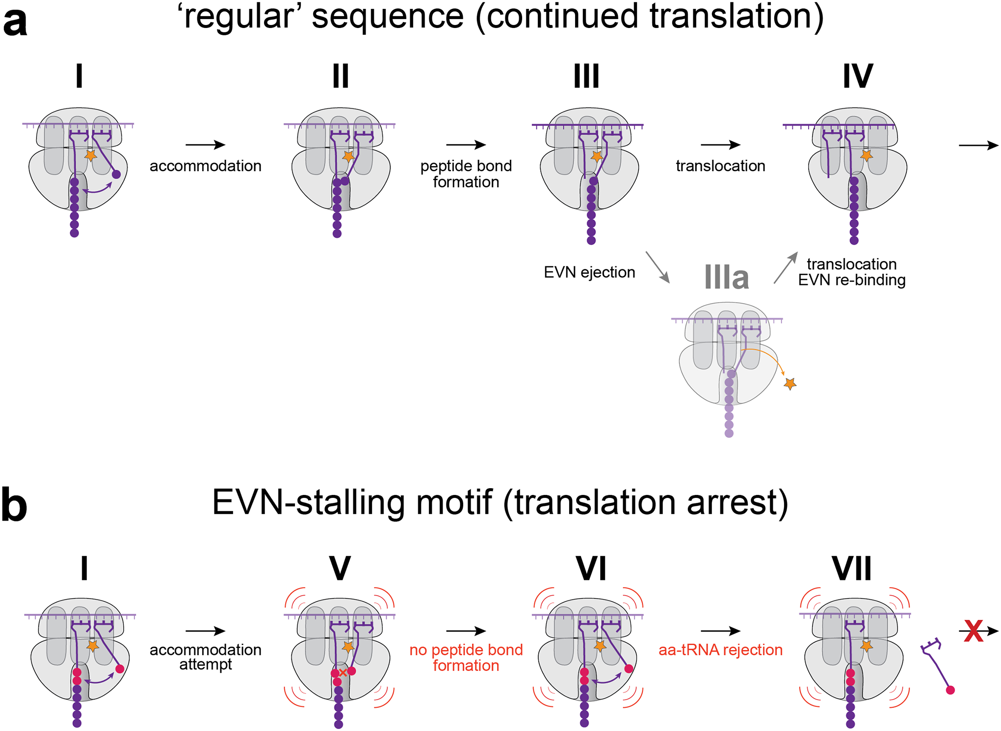 Figure 6: