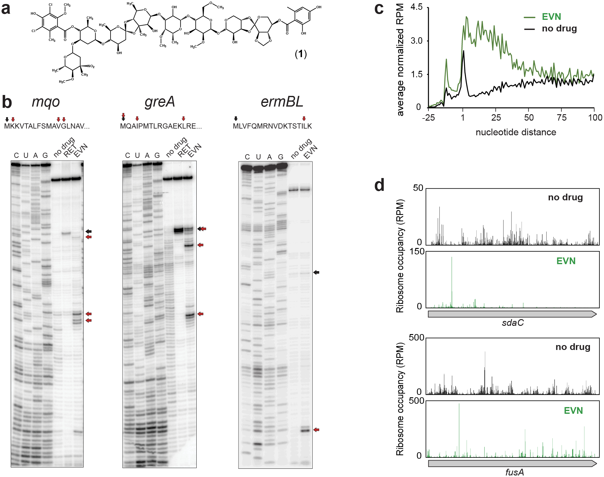 Figure 1: