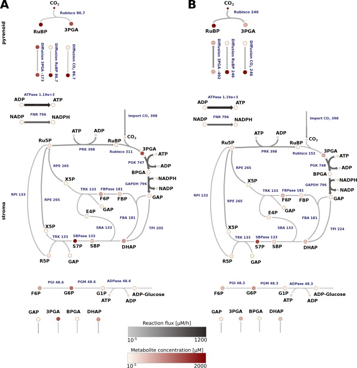 Figure 6—figure supplement 1.