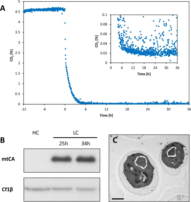 Figure 2—figure supplement 1.