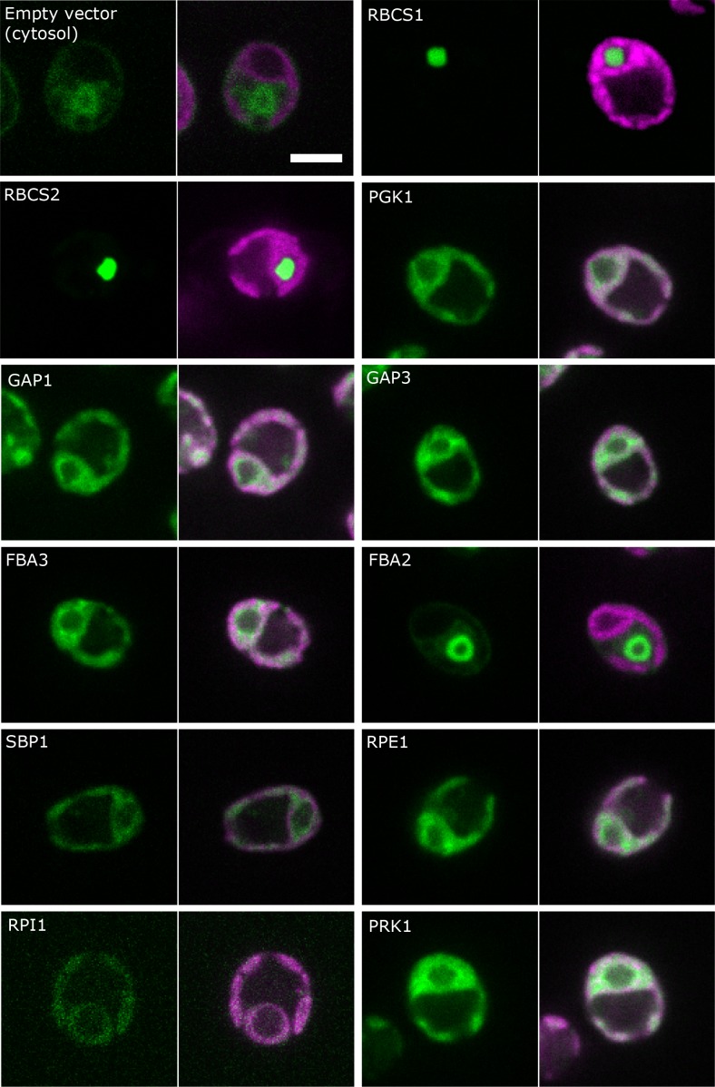 Figure 3.