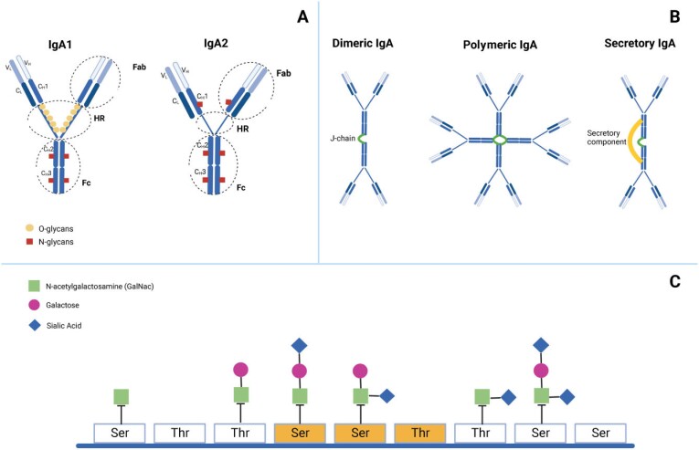 Figure 2: