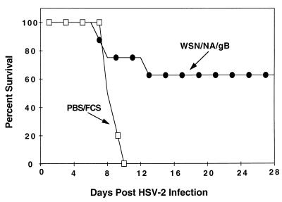 FIG. 7