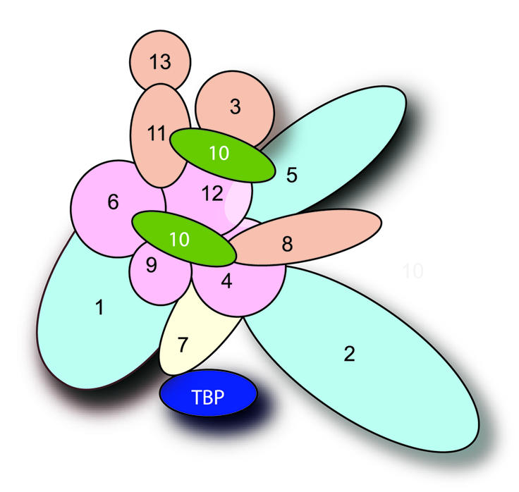 Figure 5