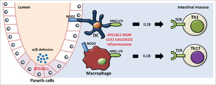 Figure 3.