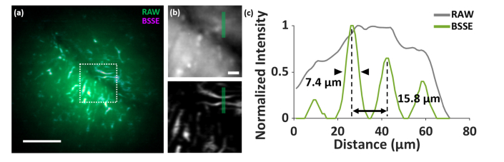 Fig. 15