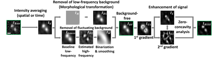 Fig. 2