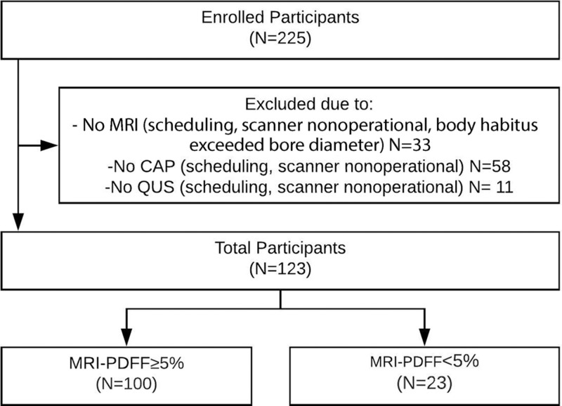 Derivation of the study cohort. CAP = controlled attenuation parameter, QUS = quantitative US, PDFF = proton density fat fraction.